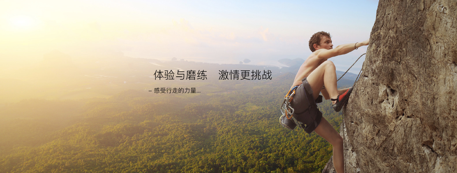 博纳世纪